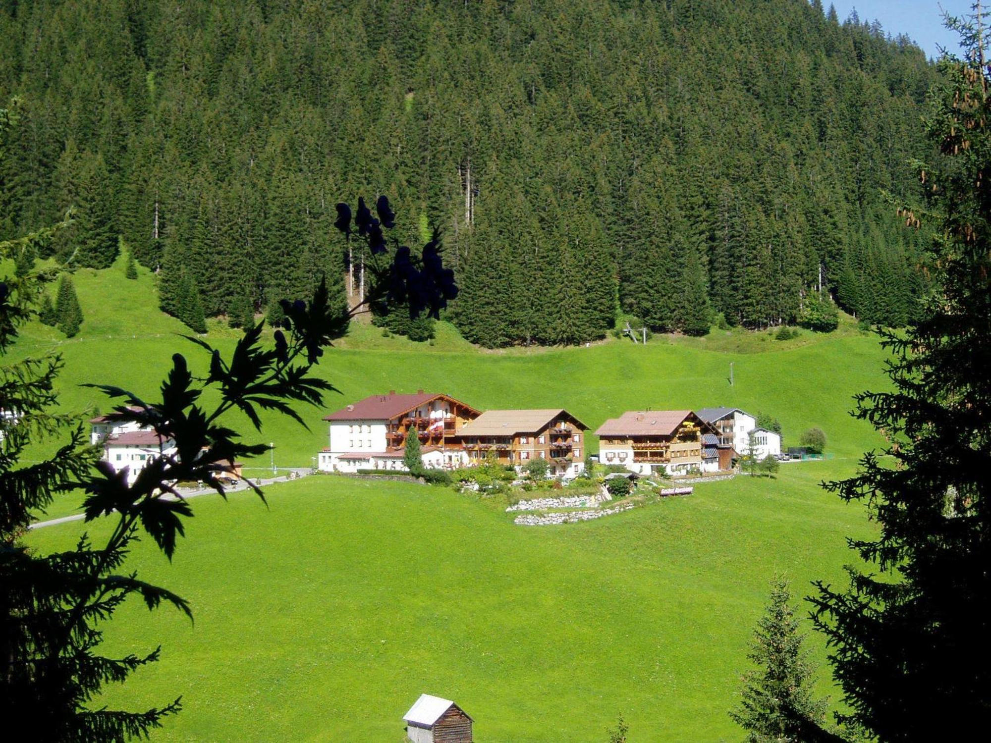Hotel Alpenblume Дамульс Экстерьер фото